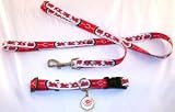 Small Cincinnati Reds Dog Collar, Leash ID Tag