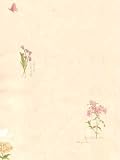 Wallpaper Brewster Fresh Cut Flowers X037USC