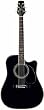 Takamine SW341SC Steve Wariner Signature Model Acoustic-Electric Guitar