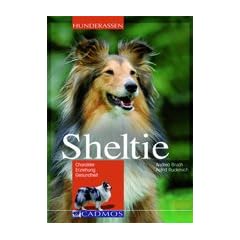 Sheltie: Charakter - Erziehung - Gesundheit