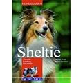 Sheltie: Charakter - Erziehung - Gesundheit