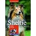 Sheltie: Charakter - Erziehung - Gesundheit
