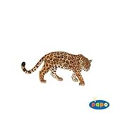 Jaguar (5)