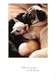 Pug and Chihuahua Love Card