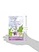 El jardín de la gracia de Dios: Cómo crecer en el fruto del Espíritu (Spanish Edition)