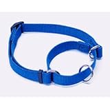 Coastal Pet No Slip Adjustable Nylon Dog Collar (Blue, 10-14 Inch L x 5 8 Inch W)