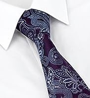 Collezione Sartorial Pure Silk Embroidered Paisley Tie