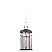 8 in. Outdoor Pendant in Vintage Black