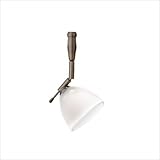 IMAGE OF Mini-Dome II 1