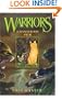 Warriors: A Dangerous Path