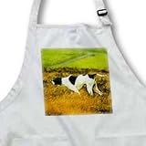 Dogs The Pointer - The Pointer Dog - Aprons
