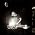 Vignette de Dan Deacon