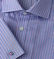 Sartorial Pure Cotton Twill Striped Shirt