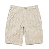 Review   / Quiksilver Men Drezzy Shorts n104251