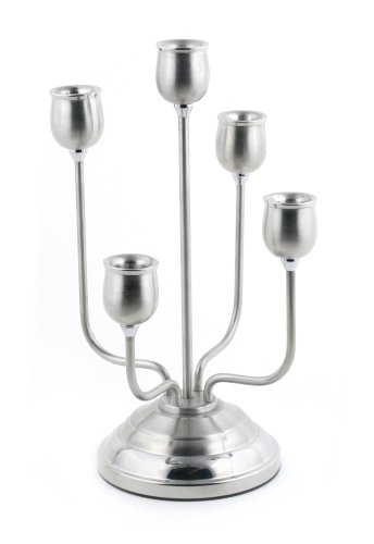 5 Light Stainless Steel Your Enjoyment