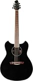 Wechter Model 3101-3B  Deluxe Pathmaker Guitar