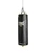 Everlast Powercore Nevatear Heavy Bag (100-Pound)
