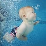 Splash About Happy Nappy - Fish Print (3 - 8 Months - Medium)