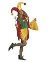 Kings Jester Adult Costume