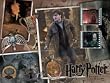 Harry Potter and the Deathly Hallows Part 2 Premier Film Cell Presentation