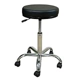 Professional Stool with Round Swivel Seat Color: Coal