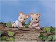 CALICO CRITTERS NORWOOD MOUSE TWINS