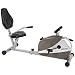 Stamina 4825 Magnetic Recumbent Exercise Bike