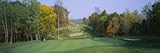 Trees on a Golf Course, Stroudsburg, Pennsylvania, USA Photographic Poster Print by Panoramic Images, 12x36