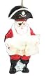Kurt Adler 5-1/2-Inch Glass Pirate Ornament