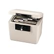 SentrySafe 1/2 Hour FIRE-SAFE File, 0.61 Cubic Feet, Dove Gray, #1170