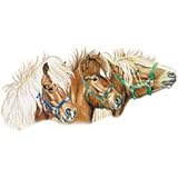 Pony Women's T-Shirt : Miniature Horses