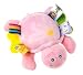 Baby Teether, Pink Taggies Turtle Teether