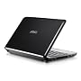 MSI Wind U100-016US 10-Inch Mini Laptop (1.6 GHz Intel Atom Processor, 1 GB RAM, 120 GB Hard Drive, XP Home, 3 Cell Battery) Black