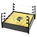 Title Fight Ring - Rocky III