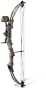 Fred Bear� Buck Fever Compound Bow Realtree� Custom Hardwoods