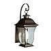 Trans Globe Lighting 4970 BK Outdoor Downing 18" Wall Lantern, Black