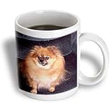Dogs Pomeranian - Pomeranian Dog - Mugs