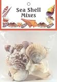 Sea Shell Mixes-Medium