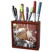 Horse - Pony - Tile Pen Holders-5 inch tile pen holder