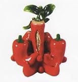 CHILI PEPPER 3-D Table Set w/ Salt & Pepper *NEW*!