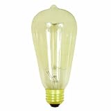 Feit Electric BP60ST19 60-Watt 120-Volt Vintage Style Clear Bulb, Medium Base