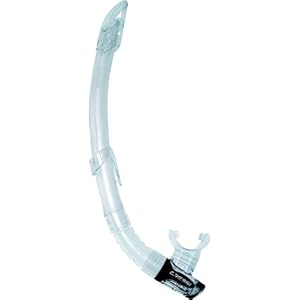 Tortuga 2.5mm Man [7/XXXL]