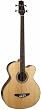 Takamine G-Series EGB2S-N Acoustic/Electric Bass Guitar