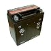 YTX16-BS-1 AGM Maintenance Free Battery