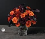 Flowers - Eclatant