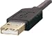 Electronics : Ge Ho97837 A-Male To A-Female Usb 2.0 Extension Cable (10-Ft Gold)