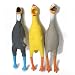 Squawker Bird Latex Dog Toy--CHICKEN