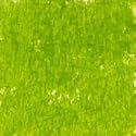 Holbein Academy Oil Pastel Grass Green