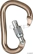 Black Diamond RockLock Screwgate Carabiner