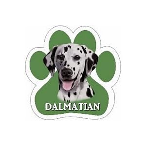 Dalmatian Paw